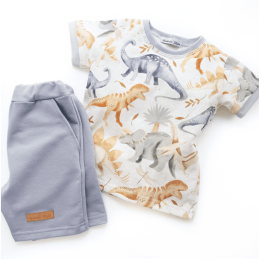 Komplet dla chłopca bluzkaz krótkimi spodenkami DINO- OLYMPIA KIDS STYLE