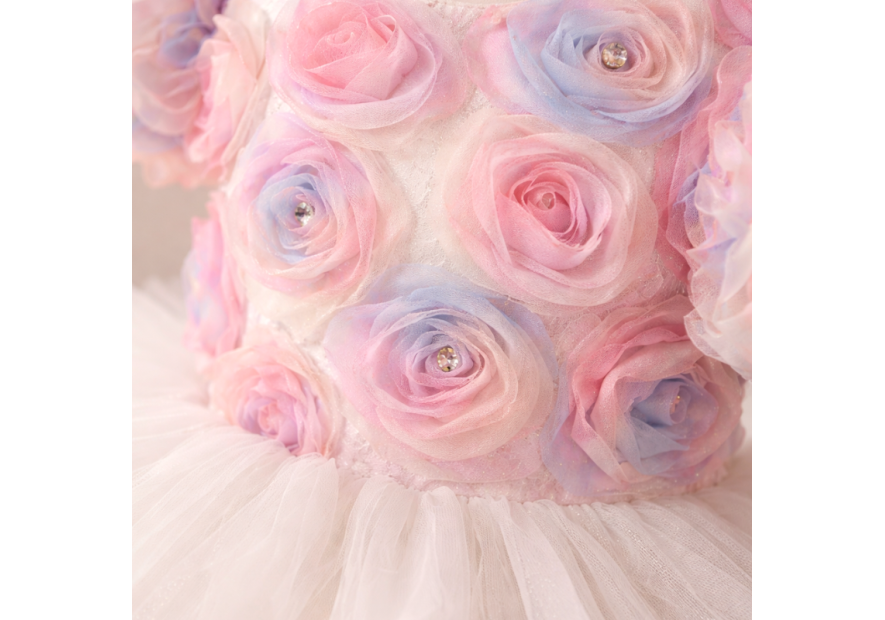 Sukienka tiulowa dla dziewczynki BELLA  | OLYMPIA KIDS STYLE